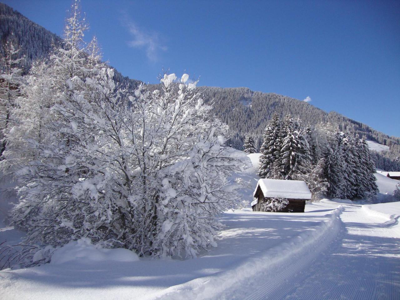 Haus Annemarie Apartments Kartitsch - Hochpustertal Экстерьер фото